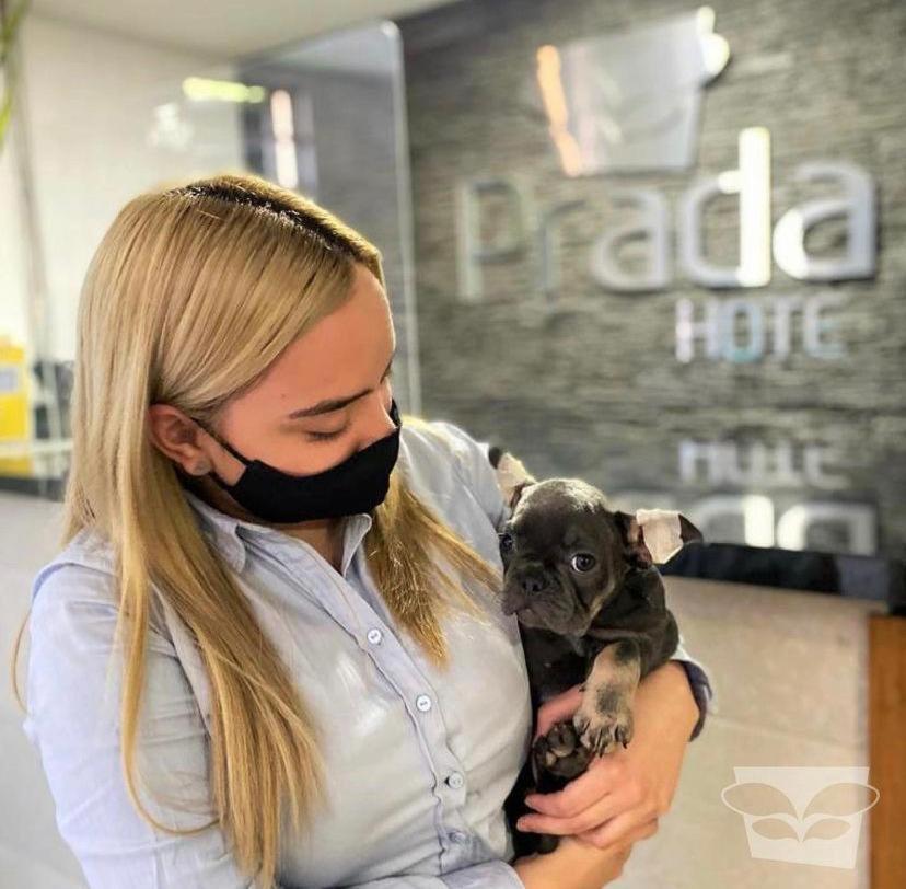 Hotel Prada Sas Bello Extérieur photo